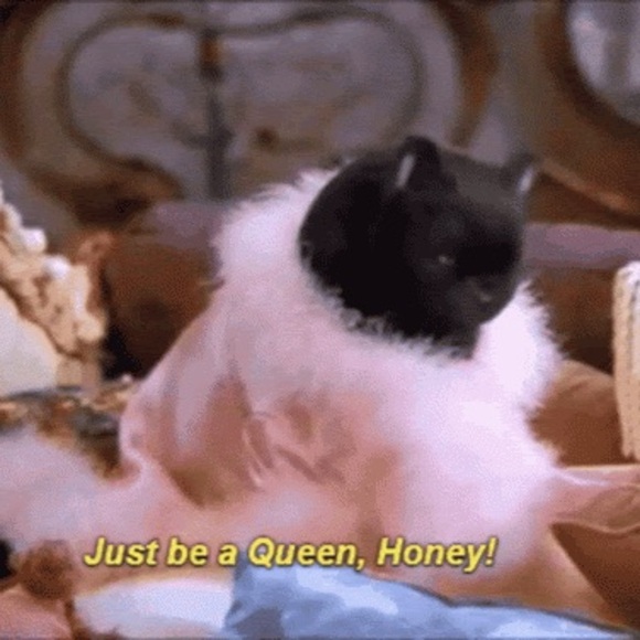 Meet your Posher, Marie-neige :d - Picture 1 of 1